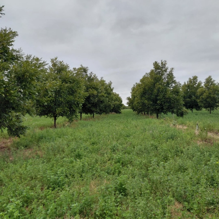 Commercial Property for Sale in Hartswater Rural Northern Cape